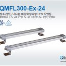 방수/방진/내유형 비점화방폭형 LED작업등 - QMFL300-Ex-24 이미지