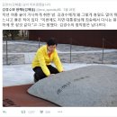 김해 김경수 당선자가 노무현전대통령 묘역참배하러 갔다왔나봐요. 이미지