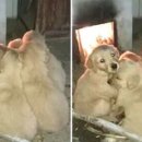 옹기종기 이미지