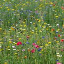 대한철강 이미지