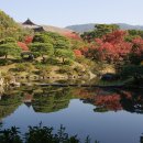 다실축산 네이버블로그