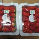 내기농장 이미지