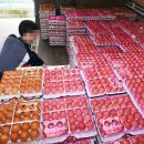 파동마트 이미지