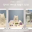 오늘뿐이개 | 강아지 케이크 만들기 도전! 오늘뿐이개의 감성 클래스