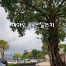 아기랑 마카오 여행 콜로안 빌리지 | 마카오 놀이터, 카페 갈만한곳 후기
