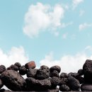 블로그&동영상제작 이미지