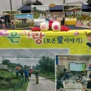 해바라기수예점