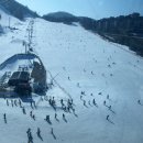 용평리조트 이미지