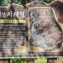 소백산자락길 제6코스 이미지