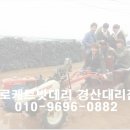 자인카센타 이미지