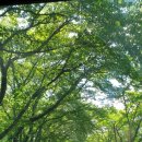 스테이 쉬온 이미지