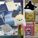 자판나라 | 일본 오키나와 국외출장 후기 Day 2 | 국제 컴퓨팅AI 컨퍼런스 ICCAI 발표 / 류큐대학교