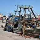 소베라니아 이미지