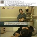 일파만파농장 이미지