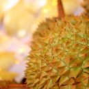 리얼푸드 이미지