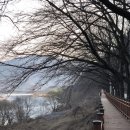 구례동중학교 이미지