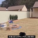 댕댕별 이미지