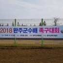 2018년 완주군수배 이미지