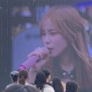 콘헤이즈 이미지
