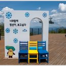 정선 가리왕산 케이블카 이미지