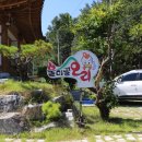 불미골오리 이미지