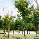 상서재마당근린공원 이미지