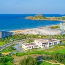 베트남퀴논거리 이미지