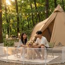 강아지 캠핑용품 대여 | 애견동반 캠핑 준비물 체크리스트 및 위생 가이드