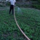 한천농장 이미지