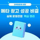 성공적인 실패전략과 실패하는 성공전략 | 메타 광고 성공 전략?, 메타 공식 파트너사가 알려주는 비결(성공사례)