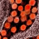 최상사이언스 이미지