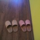 솔지에로펜션 이미지