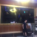 황금사우나 이미지