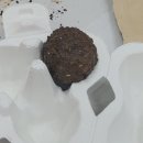 오산시 자원재활용센터 | 환경을 지키는 가족봉사단! 씨드밤 DIY와 ESG 환경교육 체험기