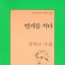 번개를 치다 - 정병근 시집 / 문학과 지성사 이미지