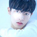 와이비인터내셔널 이미지