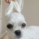 프로모텔 이미지