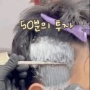 백프로헤어 이미지