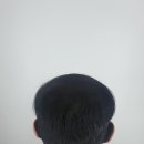 대한문신사중앙회인재개발원