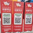 펫스타일 | 2025 크리스마스 서울펫쇼 다녀온 후기