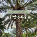 한밭수목원2 | 대전 한밭수목원 열대식물원 다육식물원 후기 (실내 가볼만한 곳 추천)
