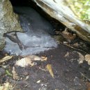 이음펜션 이미지