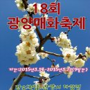 광양매화축제. 이미지