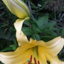 꽃들어린이집 이미지