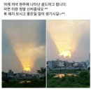 금돼지 이미지