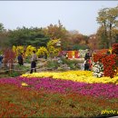 효경농장 이미지