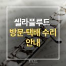 [수리/점검 접수] 🛠️ 셀라플루트 방문 &amp; 전국 안심 택배 수리 접수 안내 이미지