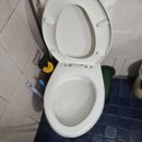 변기막힘 이미지