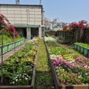 숭인2동주민센터 이미지