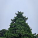 공중화장실(국궁장) 이미지